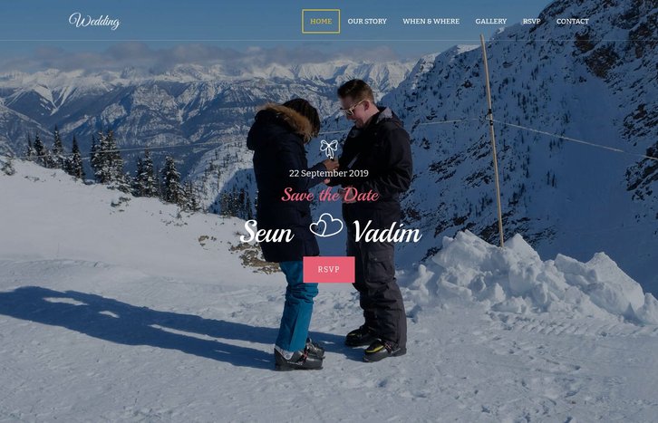 Screenshot of Seun & Vadim's Wedding